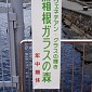 DSC00035