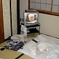 DSC00058