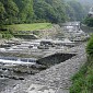 DSC01038