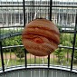 DSC01234