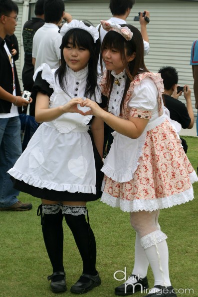 IMG_1978 IMG_1978