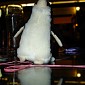 DSC03781