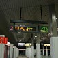 IMG_6302