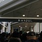 IMG_6500