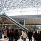 IMG_6531