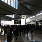 IMG_6553