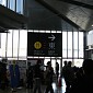 IMG_6554