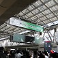 IMG_6557