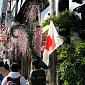 IMG_5367