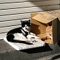 IMG_5385