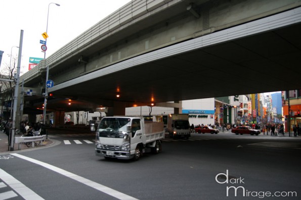 IMG_5556 IMG_5556