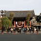 IMG_5641