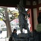 IMG_5679
