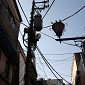 IMG_5718