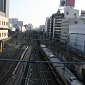 IMG_5754
