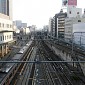 IMG_5768
