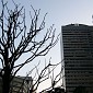 IMG_5866