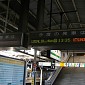 IMG_5916