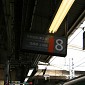 IMG_5918