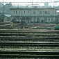 IMG_5922