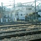 IMG_5930