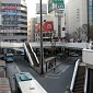 IMG_5947