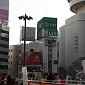 IMG_5955