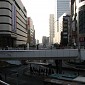 IMG_5959
