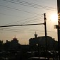IMG_5976