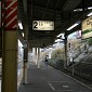 IMG_6133