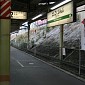 IMG_6135