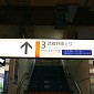 IMG_6145