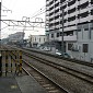 IMG_6150