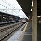 IMG_6153