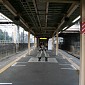 IMG_6167