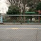 IMG_6176