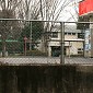 IMG_6181