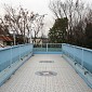 IMG_6207