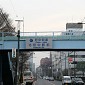 IMG_6219