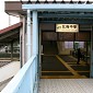 IMG_6233