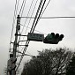 IMG_6247
