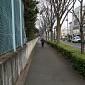 IMG_6251