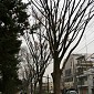 IMG_6253