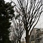 IMG_6255