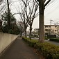 IMG_6259