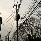 IMG_6261