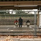 IMG_6267
