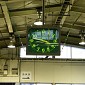 IMG_6281