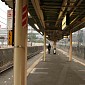 IMG_6286