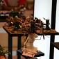 IMG_9099